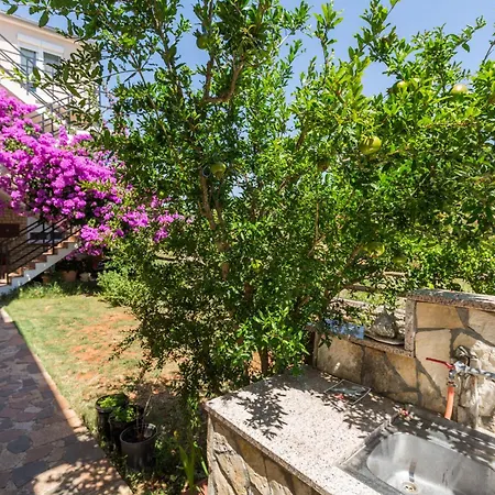 Puntizela 92 Διαμέρισμα Πούλα