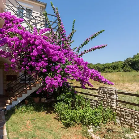 Apartmán Puntizela 92 Pula