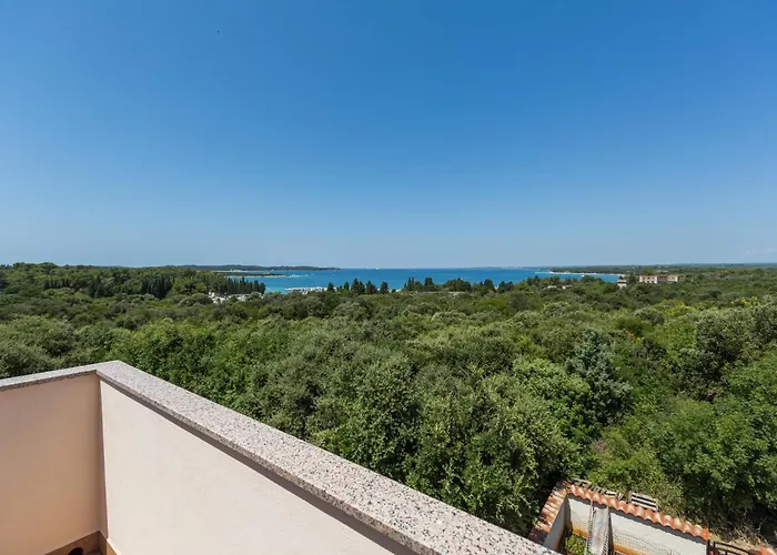 Apartman Puntizela 92